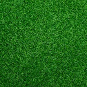 Wintergreen Couch